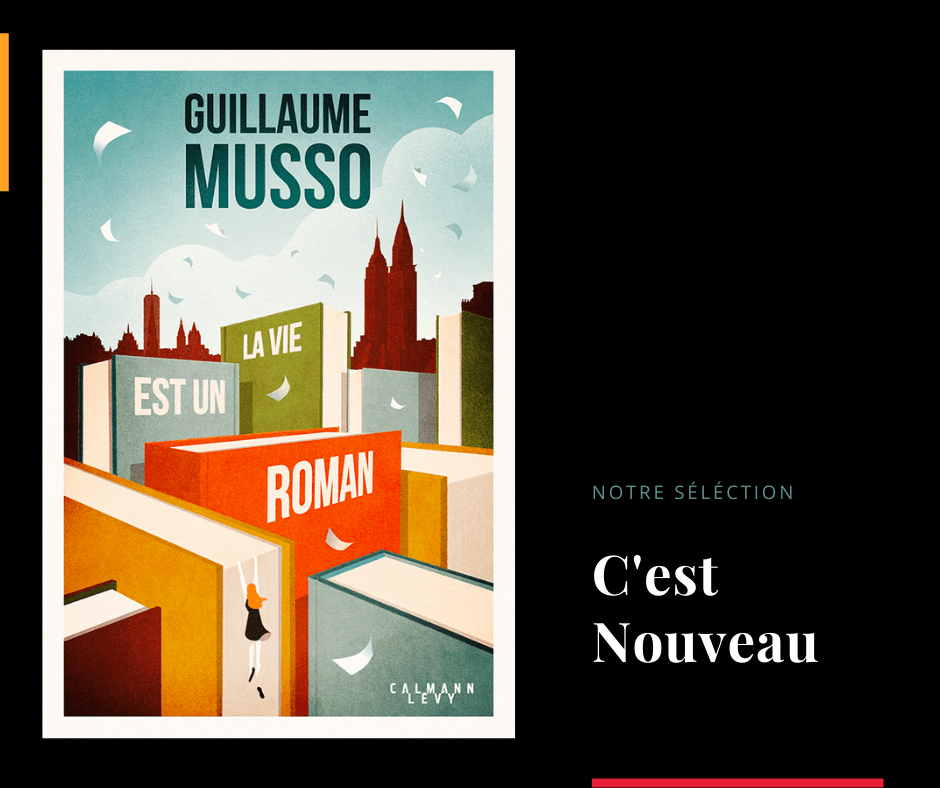 La vie est un roman - Guillaume Musso